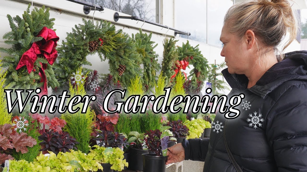 WINTER GARDENING | Come design with me as we clean up &  plant a small garden with winter interest