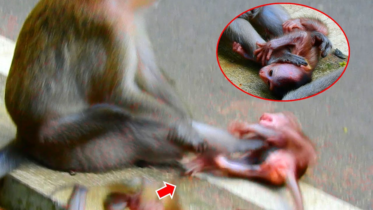 The best video of ANNA discipline her own baby Ara so hard