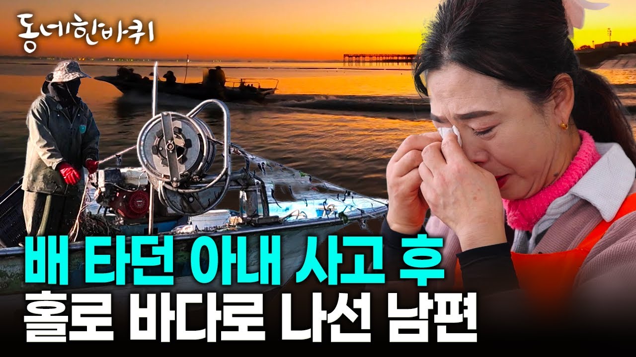 같이 배 타던 아내가 죽을 고비를 넘긴 후 홀로 바다로 나선 남편.. 궁평항 꽃게 부부의 사연 | KBS 251122 방송