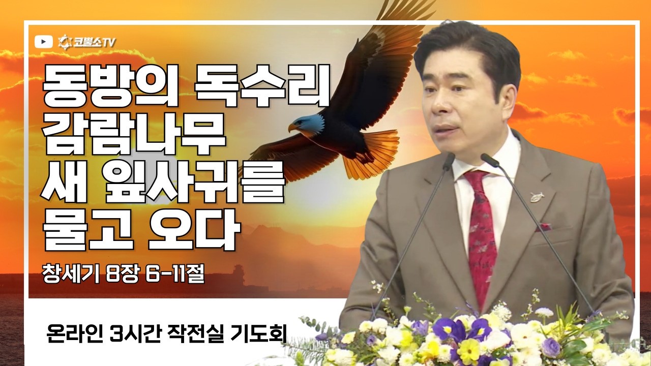 동방의 독수리 감람나무 새 잎사귀를 물고 오다 (창세기 8장 6-11절) / 작전실 기도회