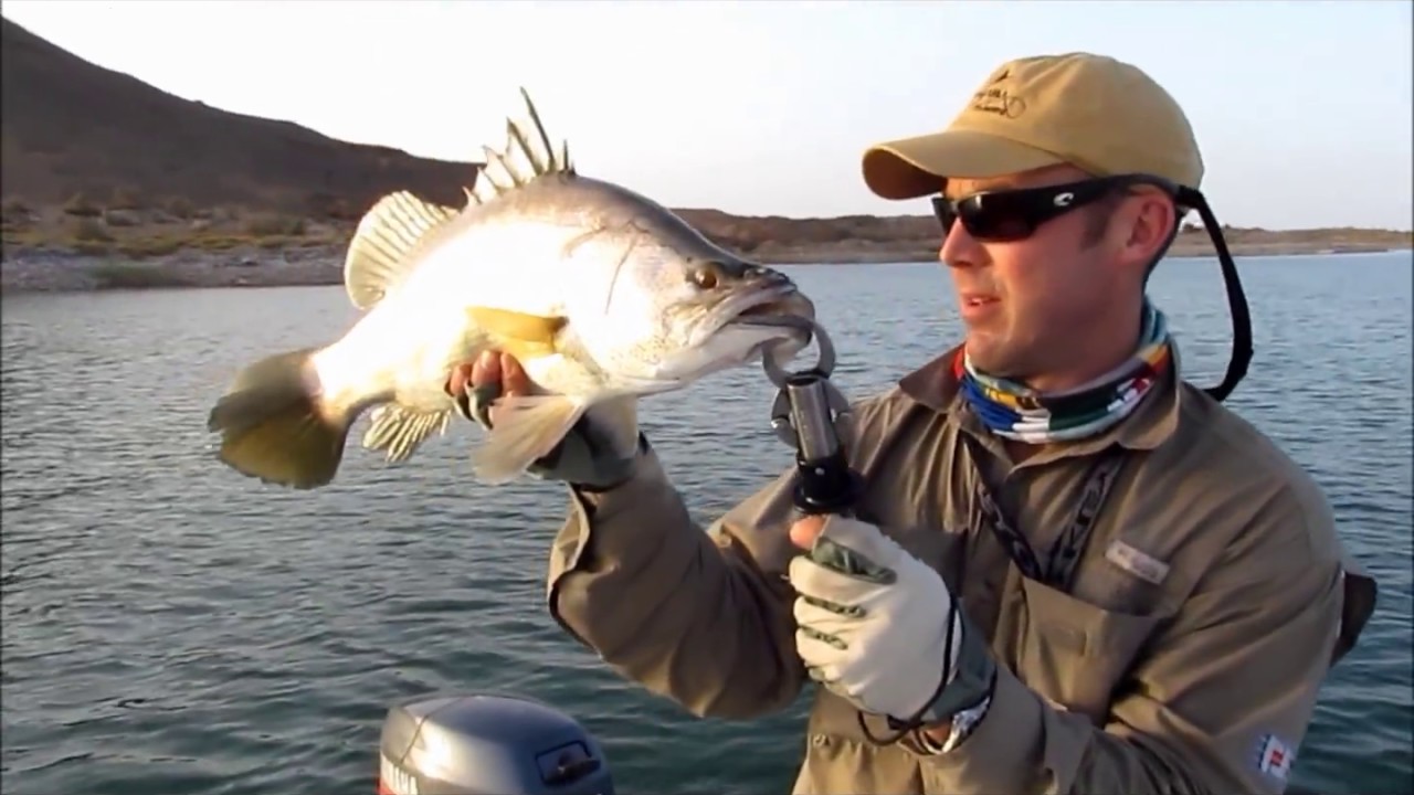 Egypt Flyfishing - Lake Nasser 2011.wmv