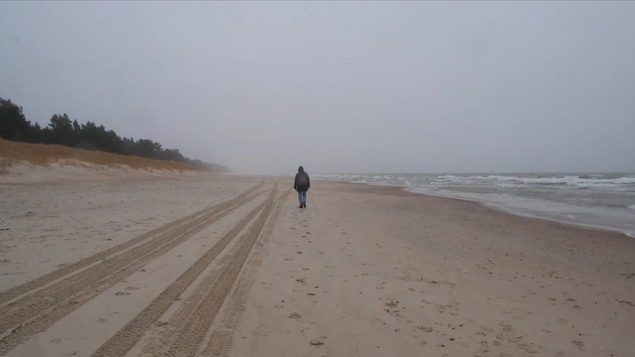 Winter Walk Along the Sea Shore and Coastal Forest