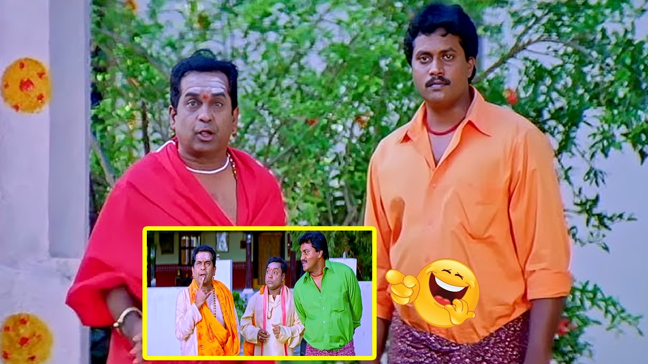 Sunil and Brahmanandam Super Hit Comedy Scenes | Brahmanandam Back To Back Comedy Scenes | Comedy
