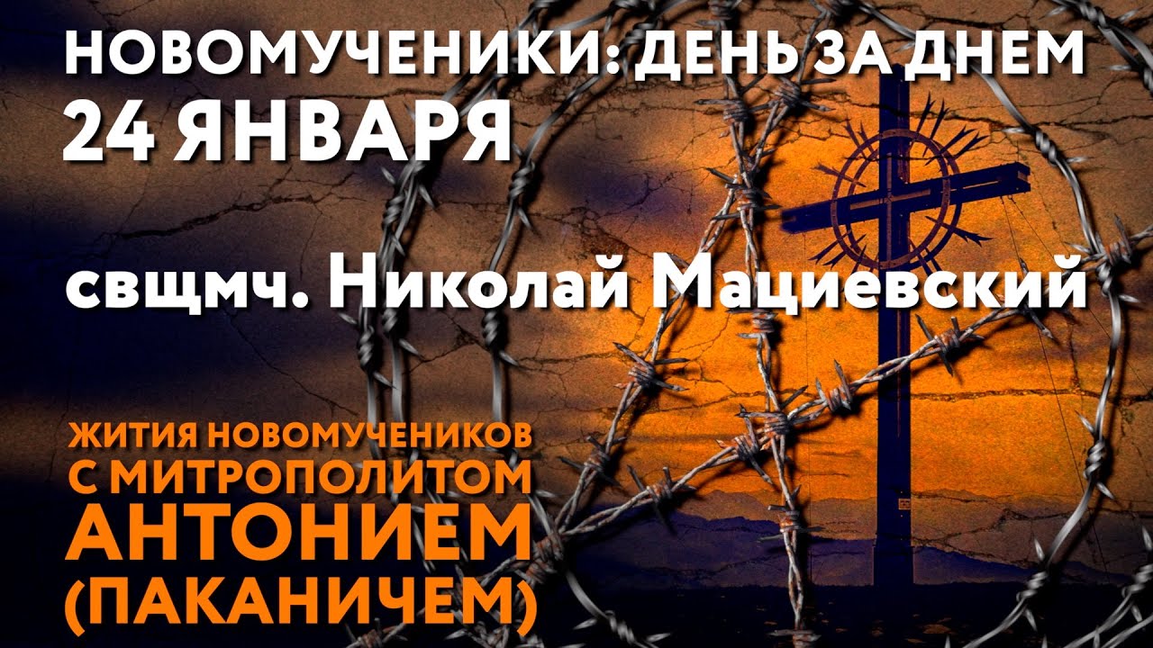 Новомученики: день за днем. Свщмч. Николай Мациевский. Рассказывает митр. Антоний (Паканич).
