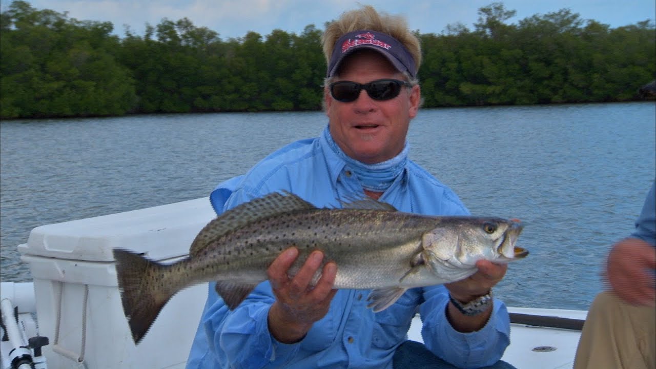 Vero Beach Redfish Fishing the Flats with DOA Baitbuster Lure