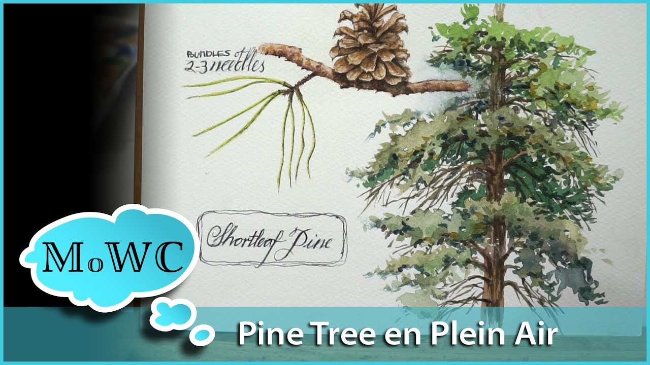 Watercolor Pine Tree Tutorial Plein Air for my Sketchbook Page