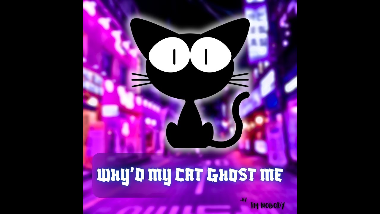 Im NOBODY - Why&rsquo;d My Cat Ghost Me?  (Official Music Video)