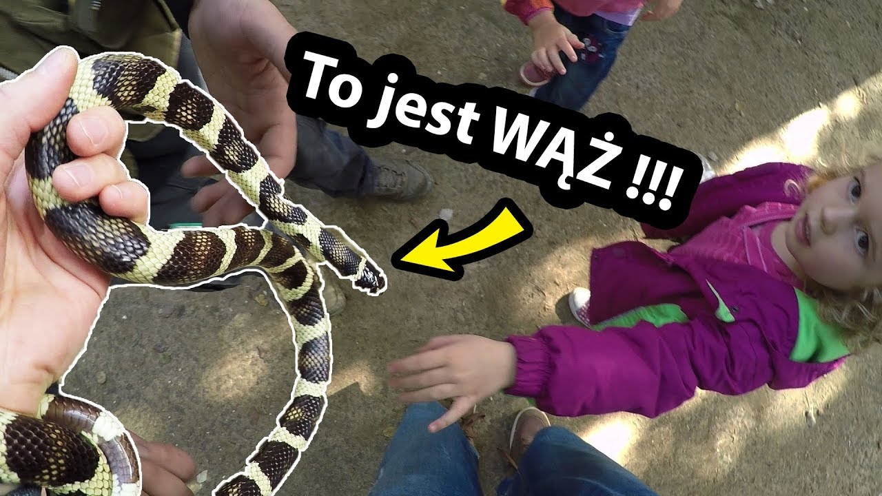 Prawdziwy Wąż  !!! - Trzymam Go w Ręce ... (Vlog #239)
