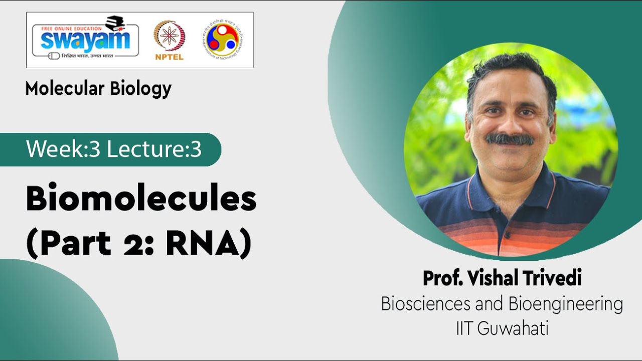Lec 13: Biomolecules (Part 2: RNA)