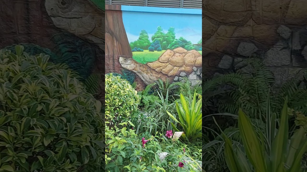 #2 The other side of reptile house