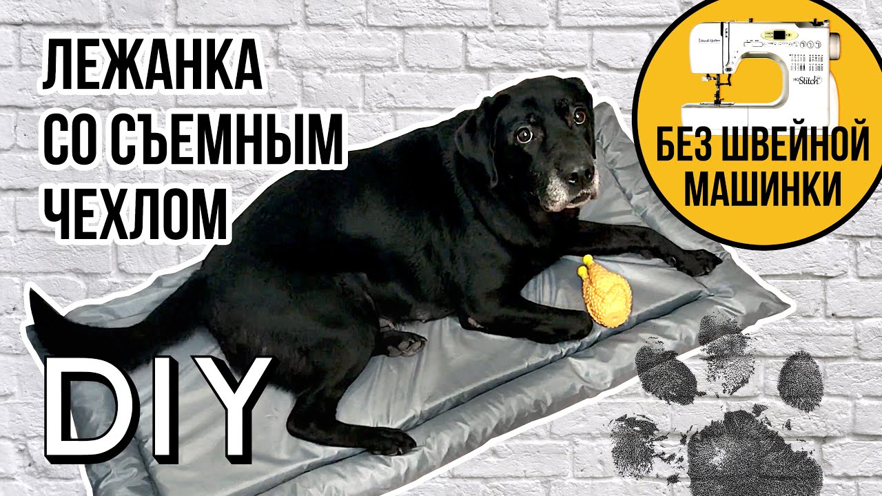 Лежанка для большой собаки СВОИМИ РУКАМИ🐾