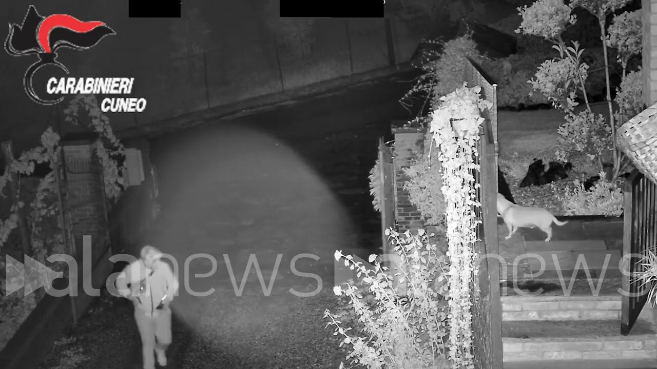 Cuneo, sgominata banda specializzata in furti di abitazione ai danni di anziani