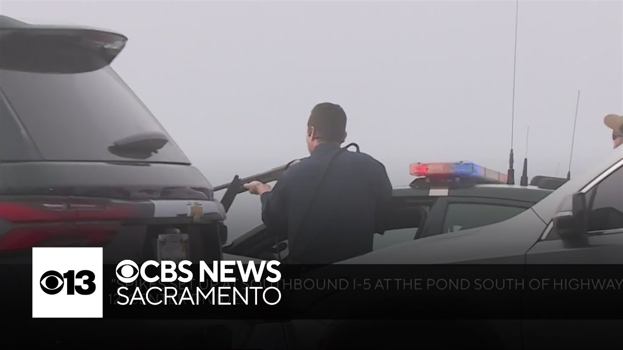 Former Sacramento County deputy kills his son before dying in police shooting