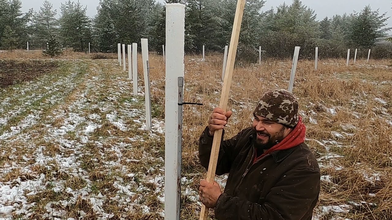 tree tube stakes