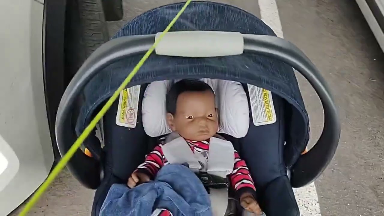 June 9th walking the new baby with my dog Zoey  and with a new stroller