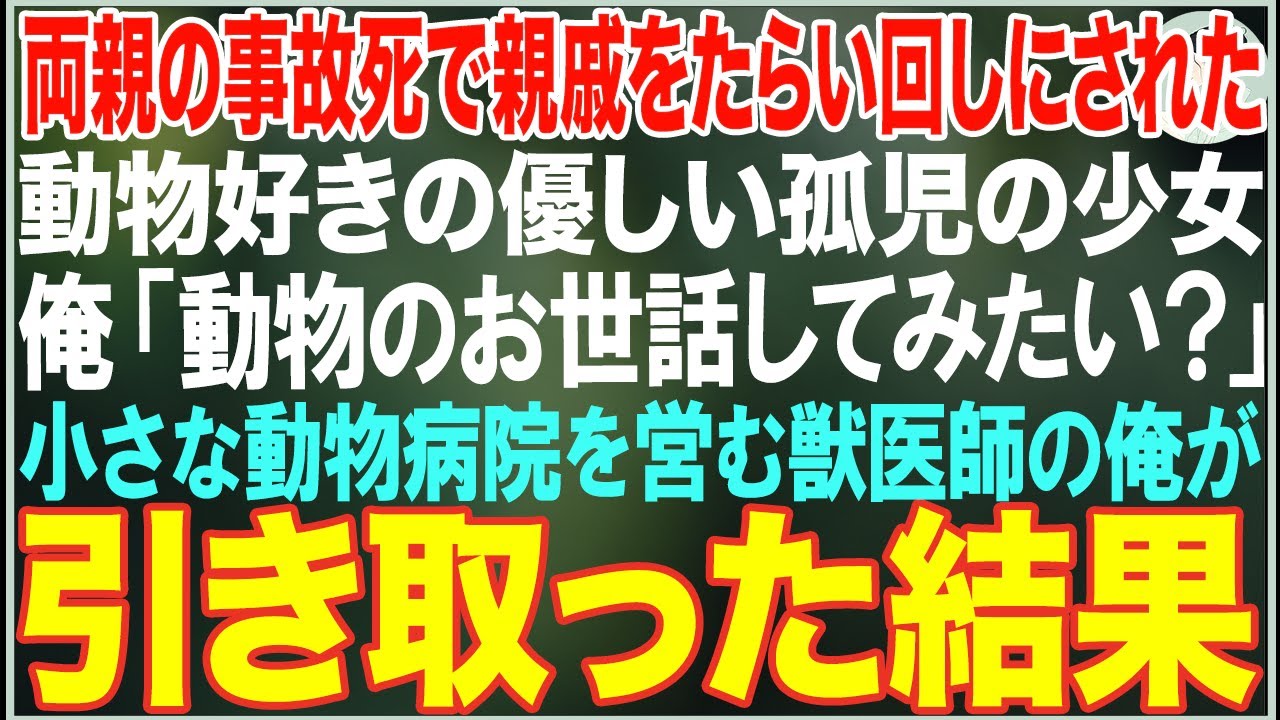 【感動する話】両親の事故死で親戚をたらい回しにされた動物好きの孤児の女の子。俺の小さな動物病院で毎日動物の世話をさせながら引き取った結果…【朗読・スカッと・泣ける話】