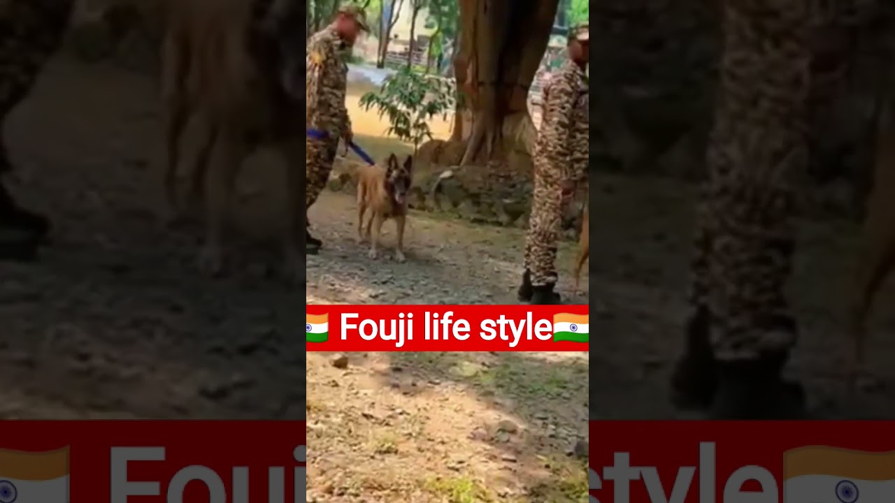 #armylover🇮🇳🇮🇳#indianarmy#indianarmedforces#commandosattitude#sscgdtraining#shortvideo