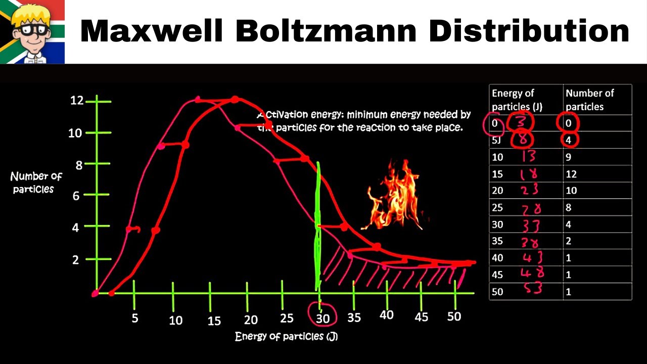 Maxwell Boltzmann Distribution Curve grade 12
