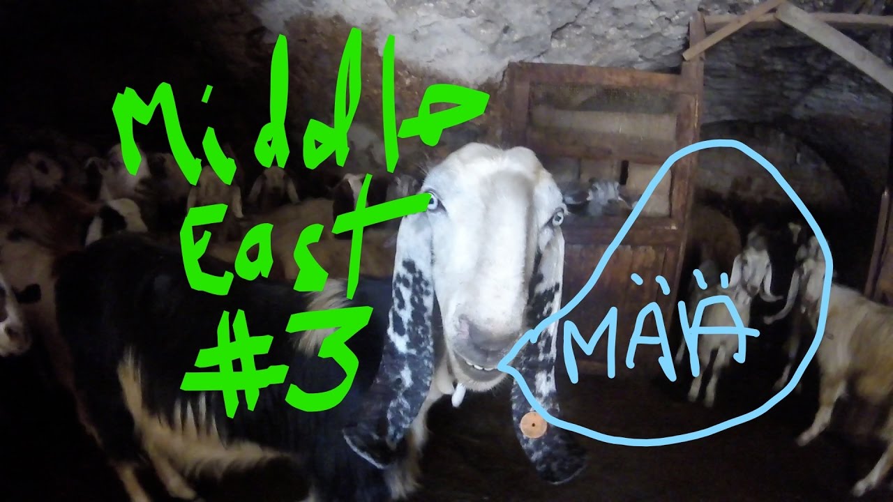 Home sweet home [Middle East VLOG #3]