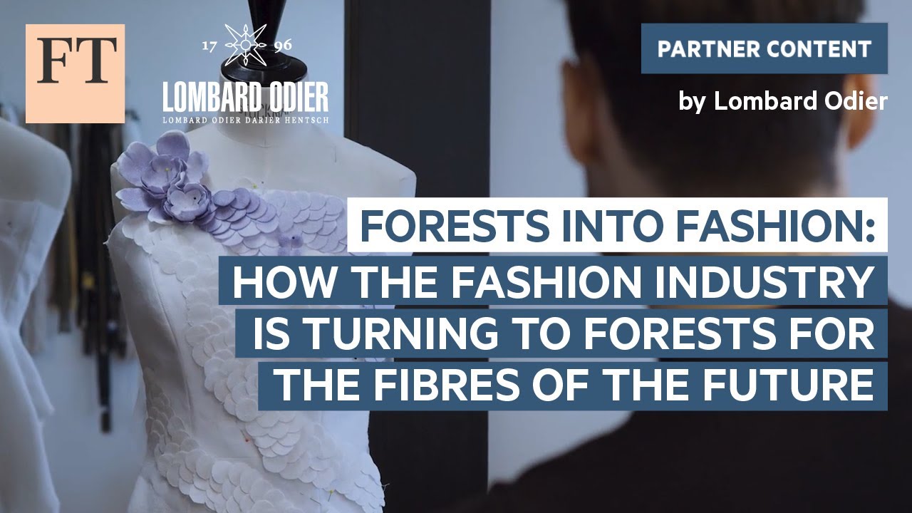 How the fashion industry is turning to forests for the fibres of the future | Rethink Sustainability