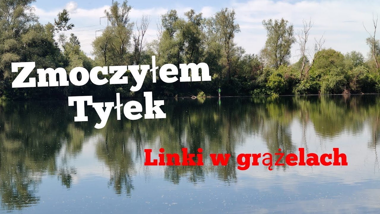 Linki na spławik. Przylasek Rusiecki.