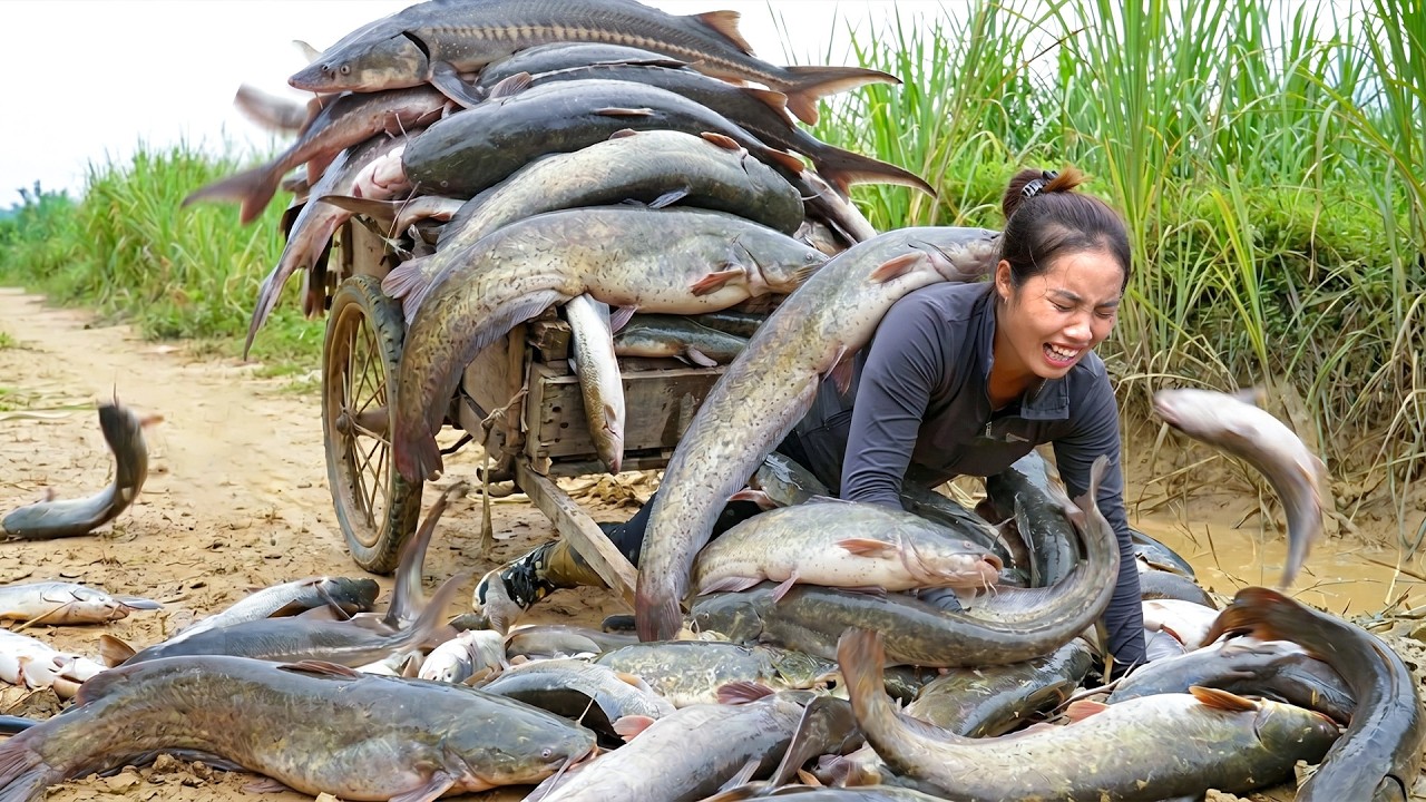 Harvesting Giant fish pond to Sell at Market with Single mom and Kids