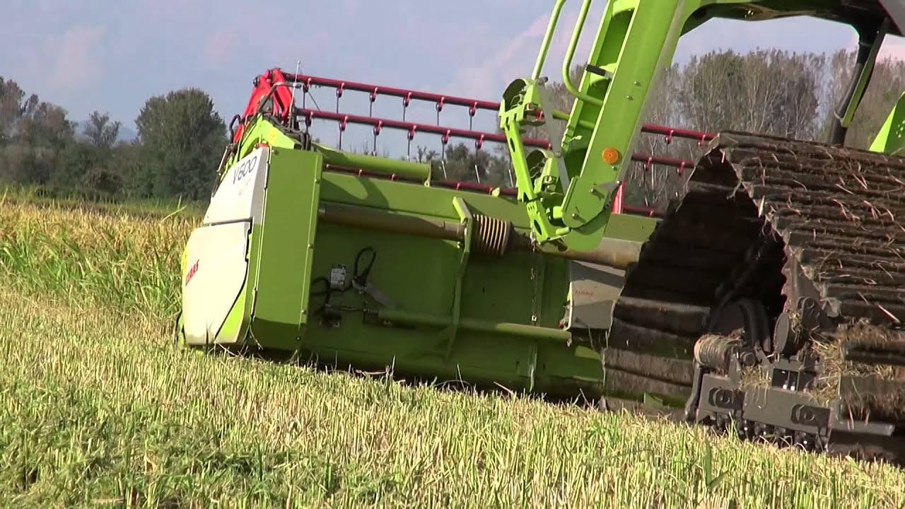 Raccolta Riso 2014. Claas Lexion 570 V600 Auto-Contour