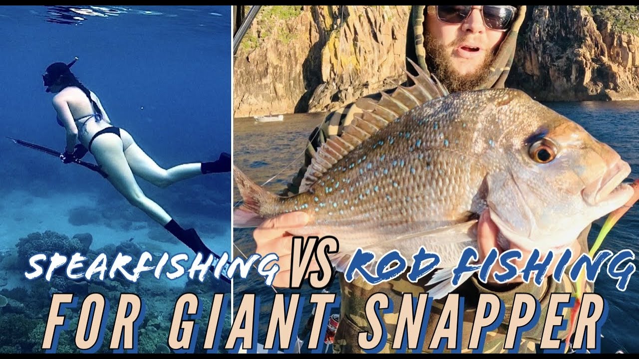 SPEARFISHING VS ROD FISHING FOR GIANT SNAPPER | CATCH N COOK |  WHALES IN Port Stephens NSW!