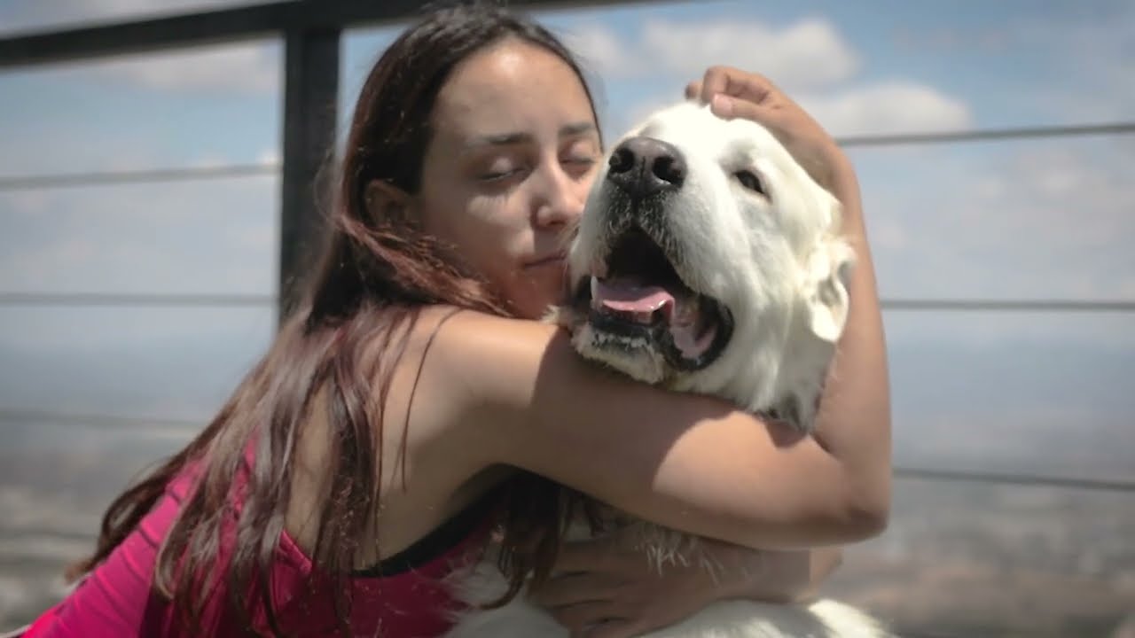 Pets Paradise  - Crematorio de Mascotas