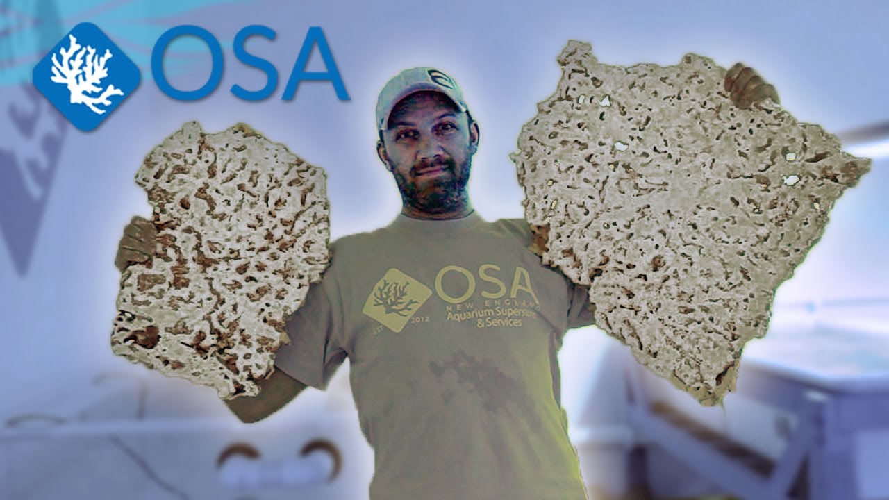 Making Sustainable Live Rock with Kris!