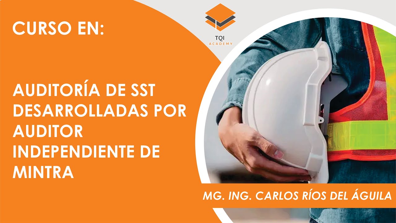 AUDITOR&Iacute;A DE SST DESARROLLADAS POR AUDITOR INDEPENDIENTE DE MINTRA