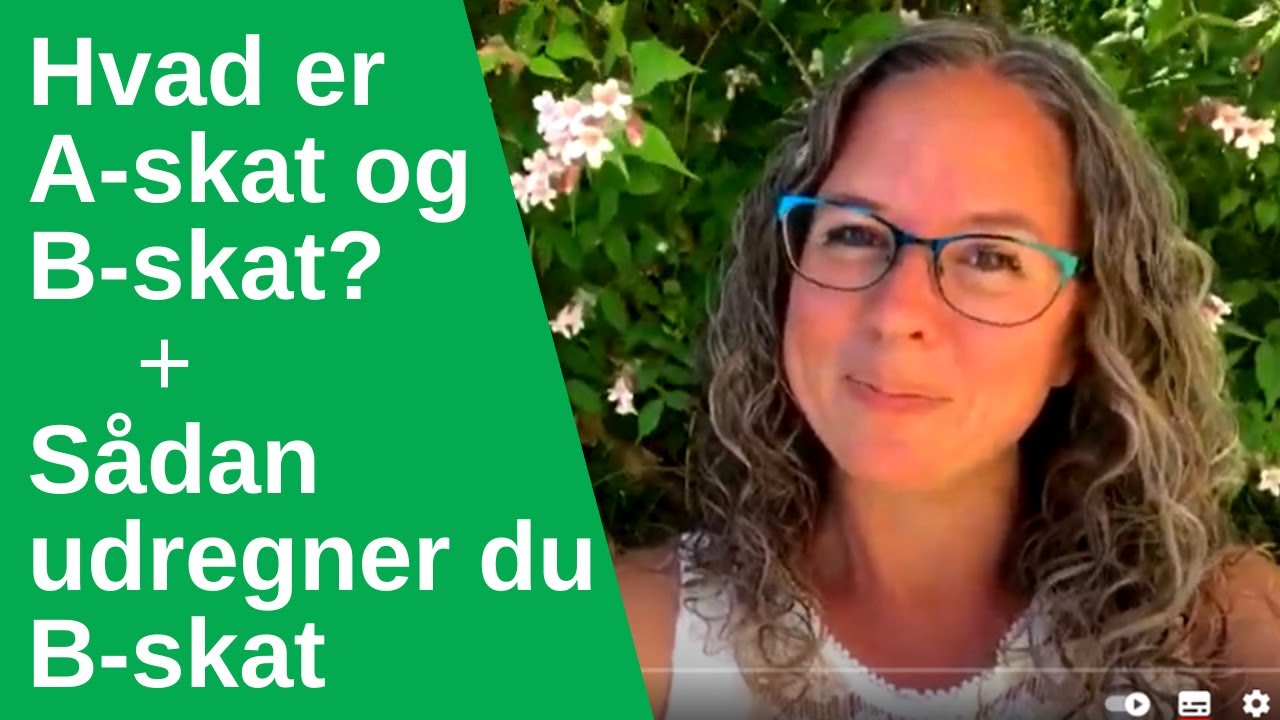 Skat for begyndere: Hvad er A-skat og B-skat og sådan udregner du selv B-skat - Borgerservice to go