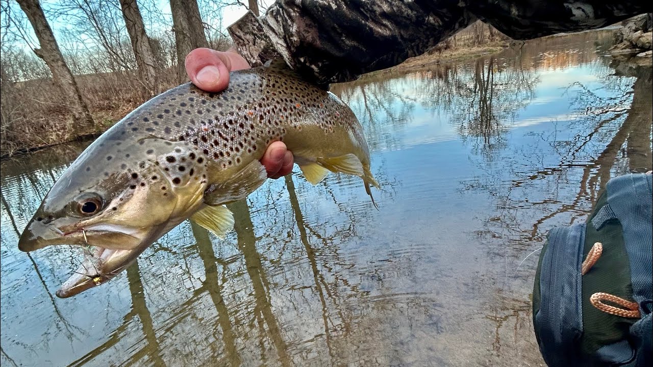 Fly fishing for big trout at Cedar Springs Sportsman Lodge!! (Part 1)