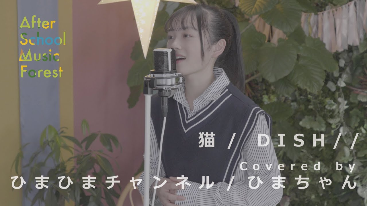 「猫」DISH//　 / Covered by ひまひまチャンネル(ひまちゃん) | After School Music Forest