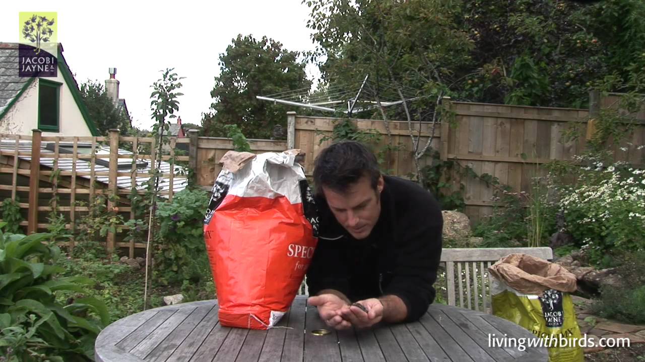 Its all in the Mix - feeding wild birds with Jacobi Jayne's Special Mix