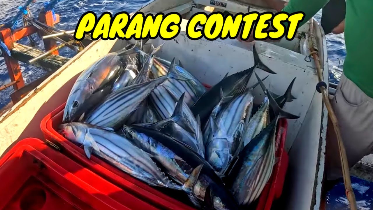 P11 - PARANG CONTEST NG MGA SERVICE BOAT - EP63