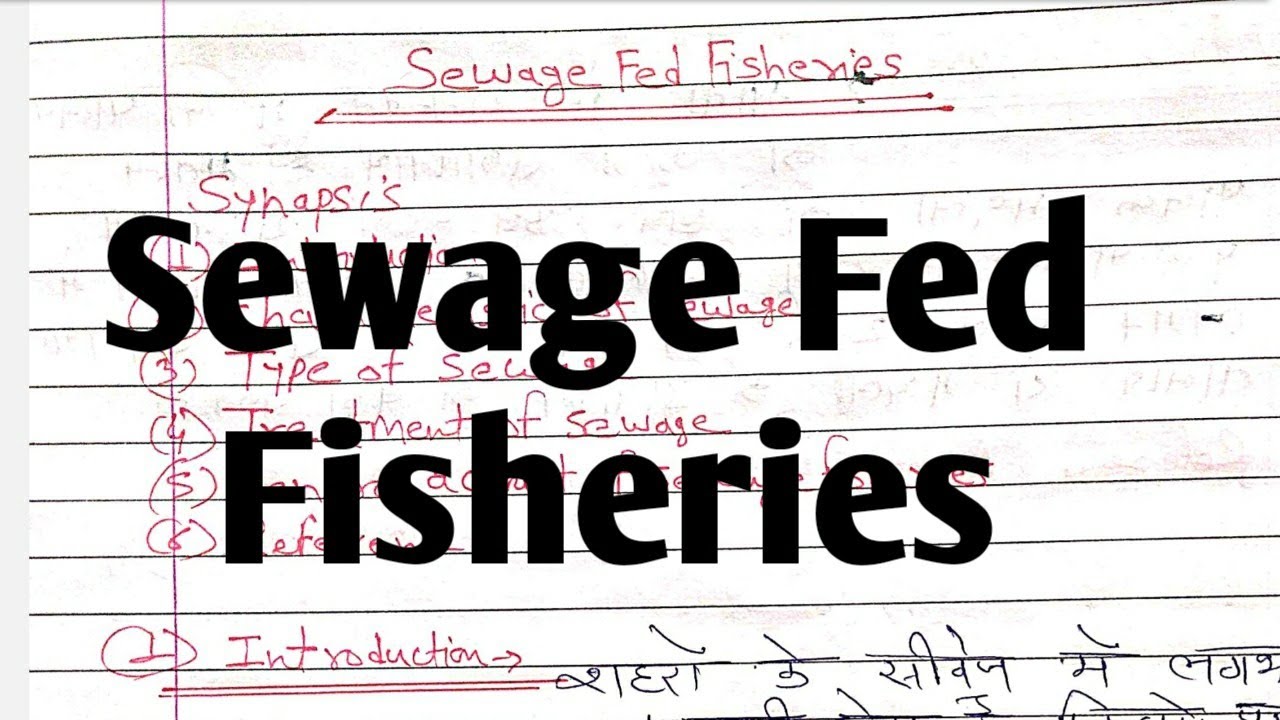 Sewage Fed Fisheries