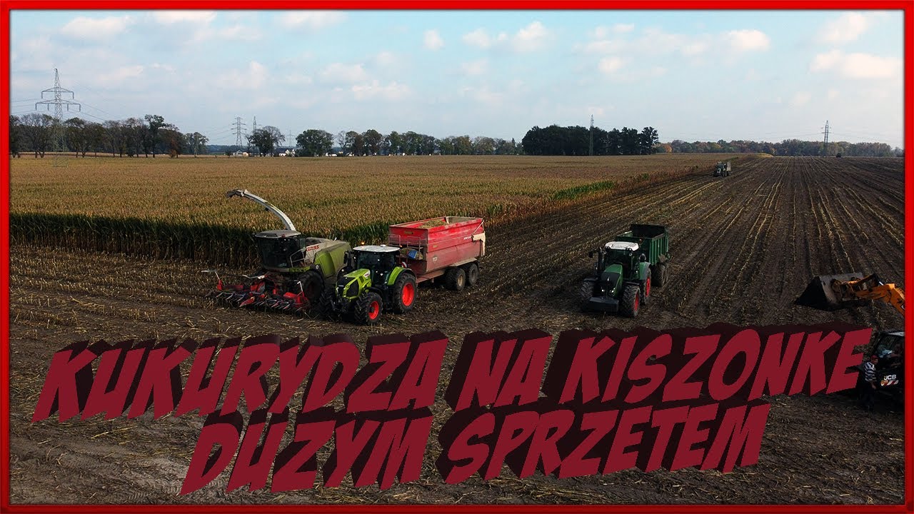 🌽Kukurydza na Kiszonkę Dużym Sprzętem 2022🌽 w GR Błaszczyk / Świerkot | Claas Jaguar 940
