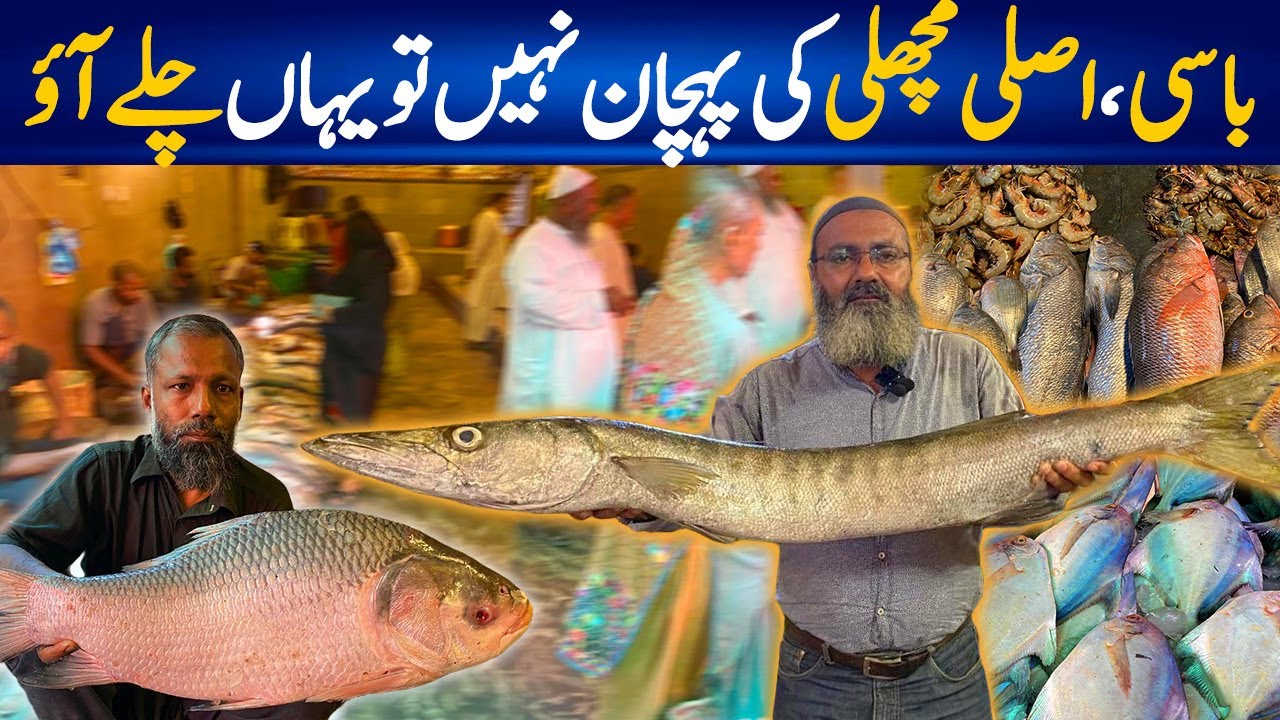 Moosa Colony Fish Market Karachi 2024 | Seafood Lovers Key Liye Sasti Market Dhoond Li