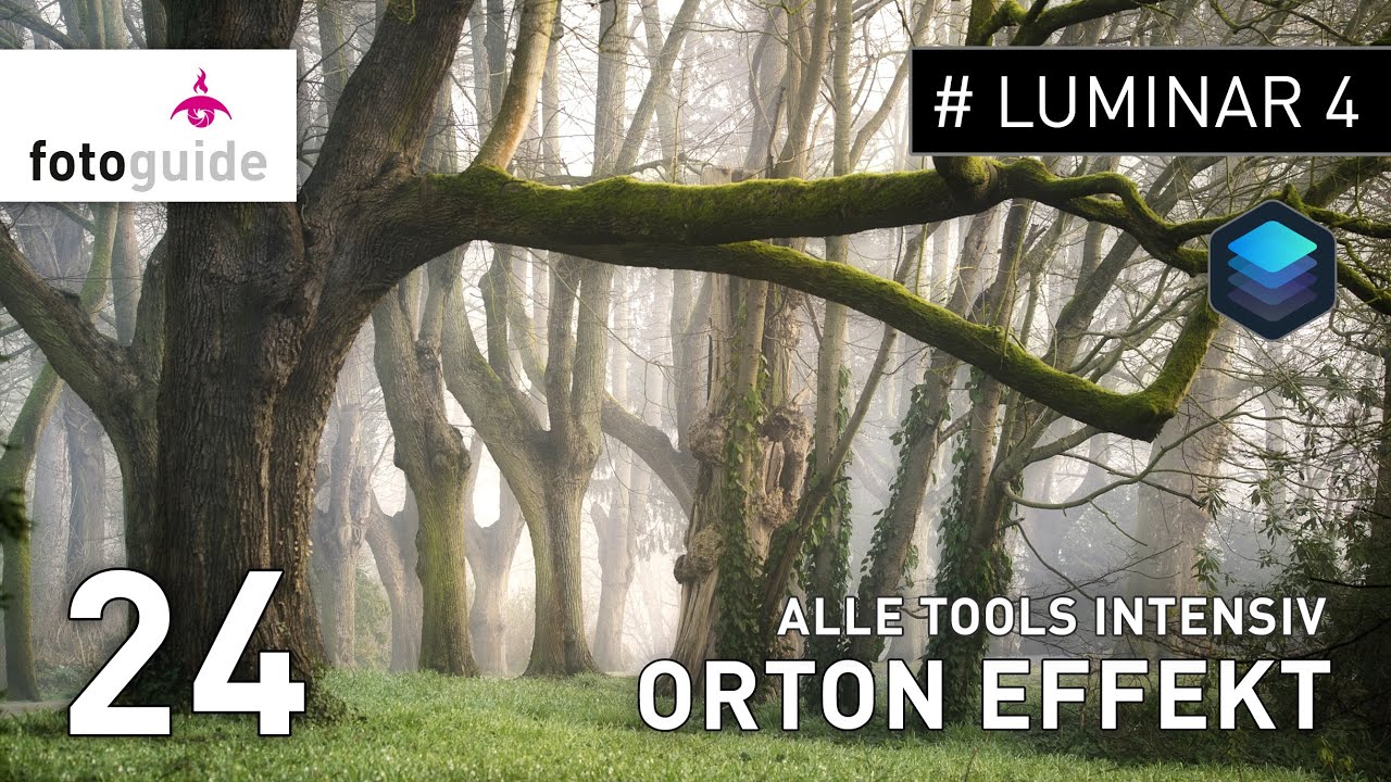 Luminar 4 Tools intensiv # 24: Das Tool 