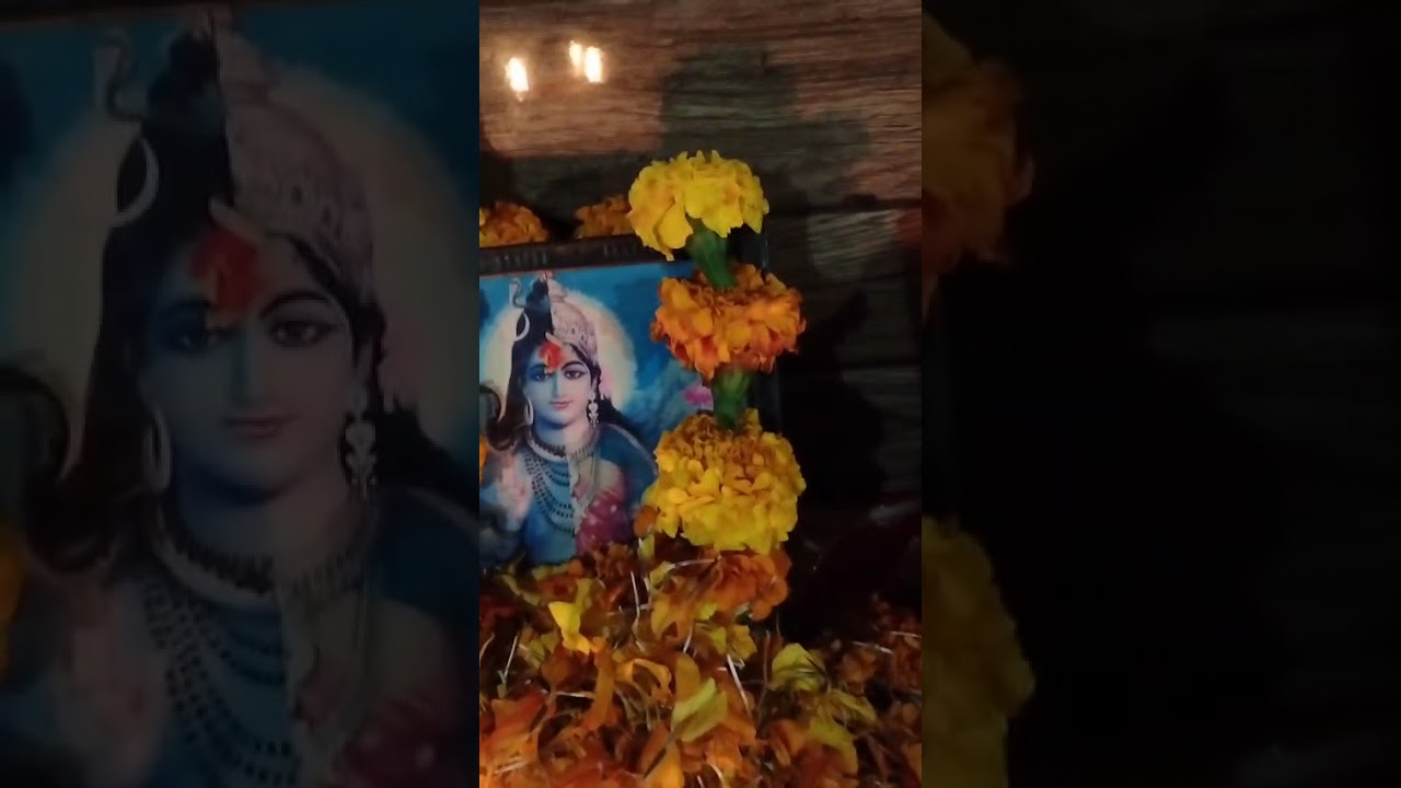 नाम मन राम बिठा लो रे,, यो नर तन फिर नहीं मिलना--भाइयों भज लो सीताराम--5 मार्च 2026 सीताराम संकीर्तन