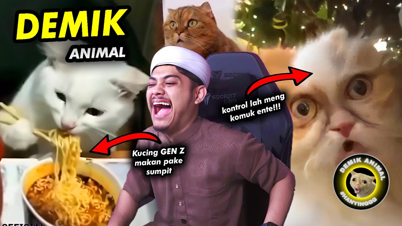 SETELAH SEKIAN LAMA KATA-KATA KHASNYA KELUAR JUGA🗿🗿🗿Reaction Demik Animal