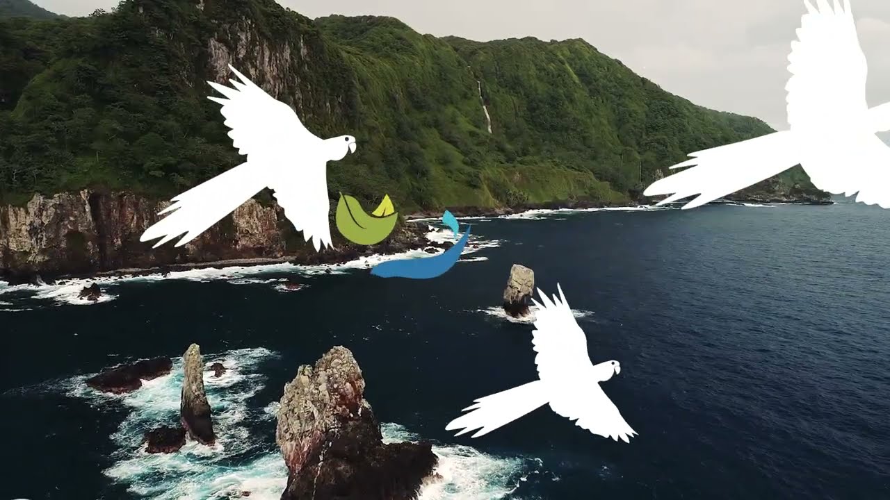 Forever Costa Rica | Protecting Biodiversity for the Future