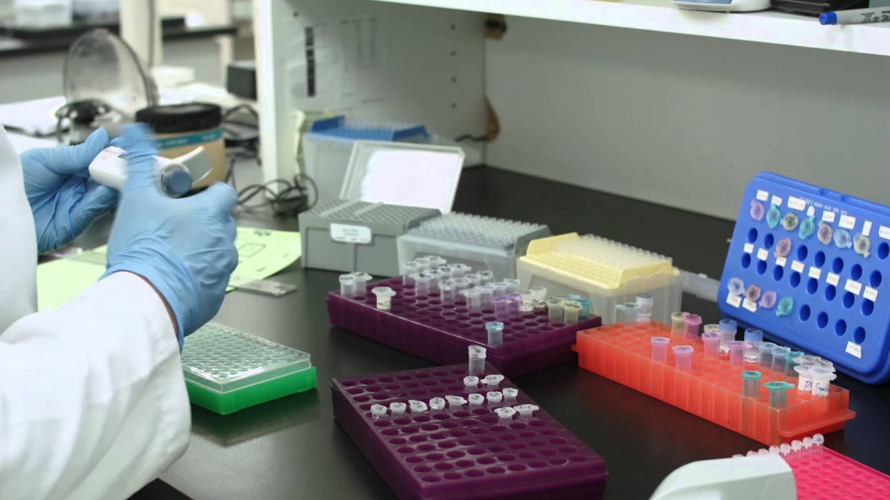 DNA Methylation Analysis