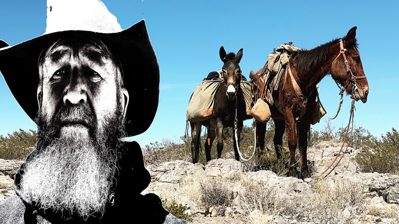 Mules and Hounds...Chihuahuan Desert Panthers ...  {Diary of a Houndsman}