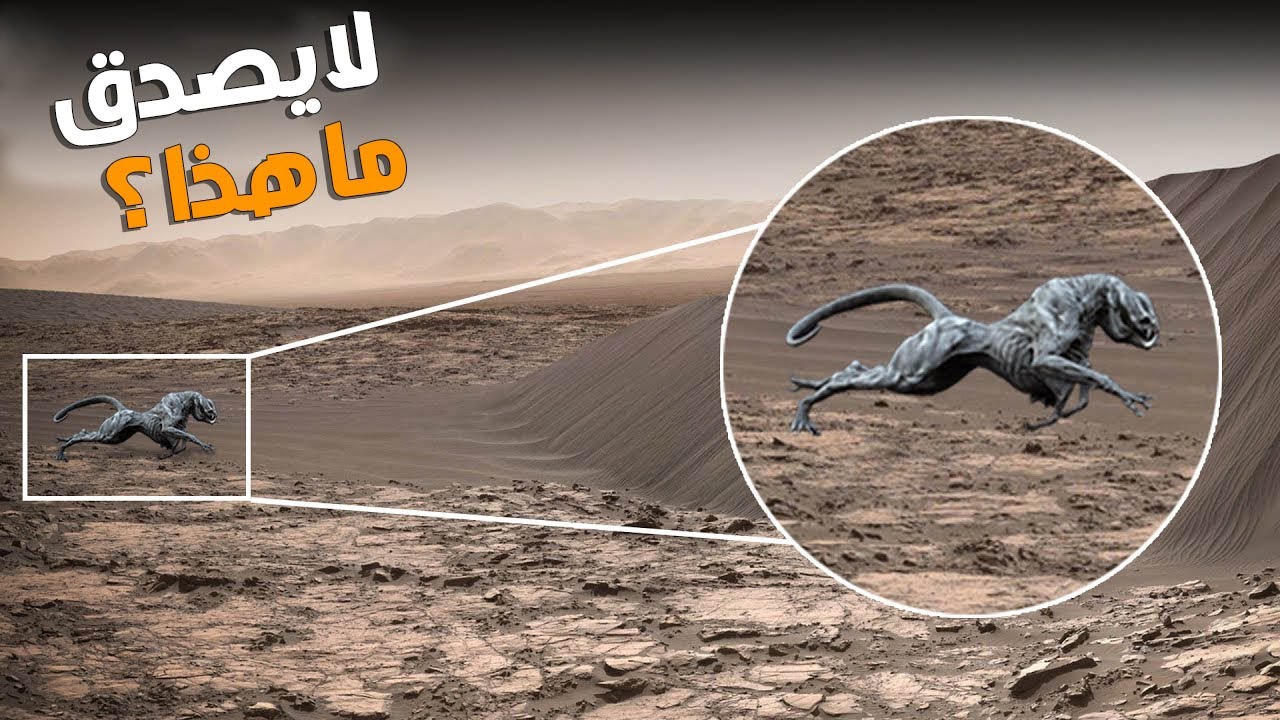 اكتشاف العلماء هذا الأشياء المرعبة على سطح المريخ