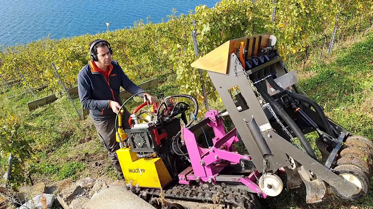 Semis de couverts dans les terrasses de Francey-Vins à Lavaux (viticulture - engrais verts)