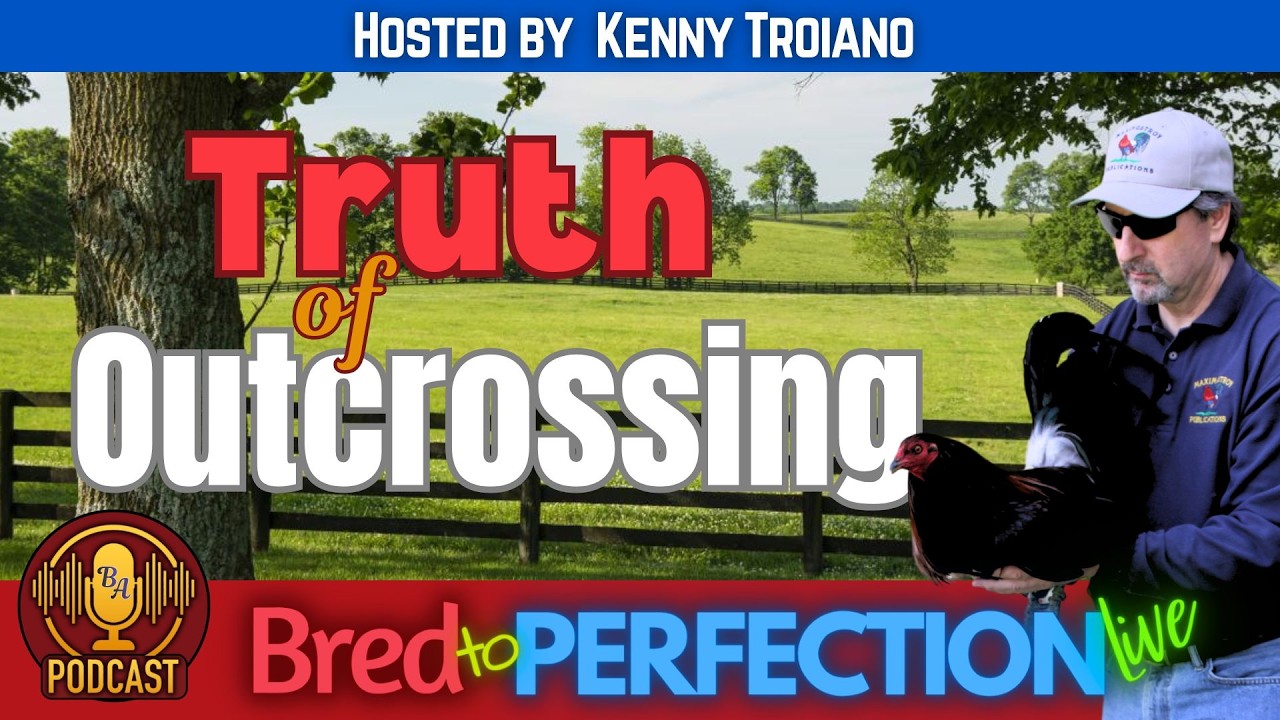 Ep172 - The Ugly Truth About Outcrossing