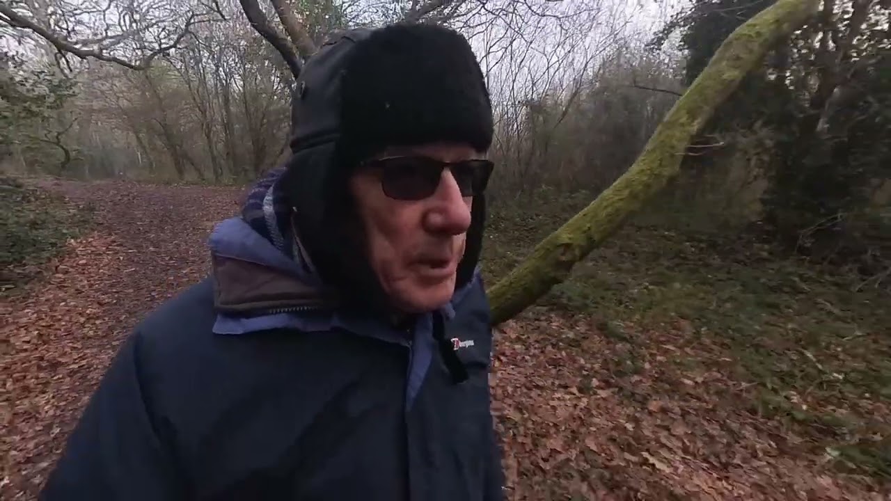 Westwood -  Part One