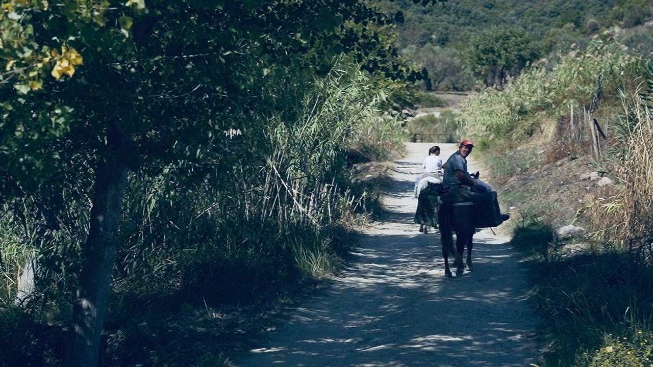 Fshati me vetëm 4 shtëpi… - Shqipëria Tjetër